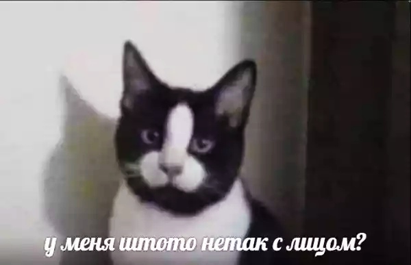 Набрел на склад баянов. Налетай