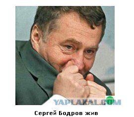 Автодемотиватор на ЯПе