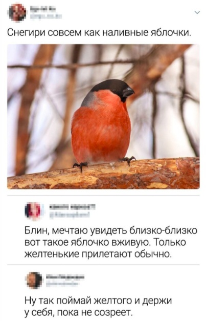 Так себе картинки 21.02.24