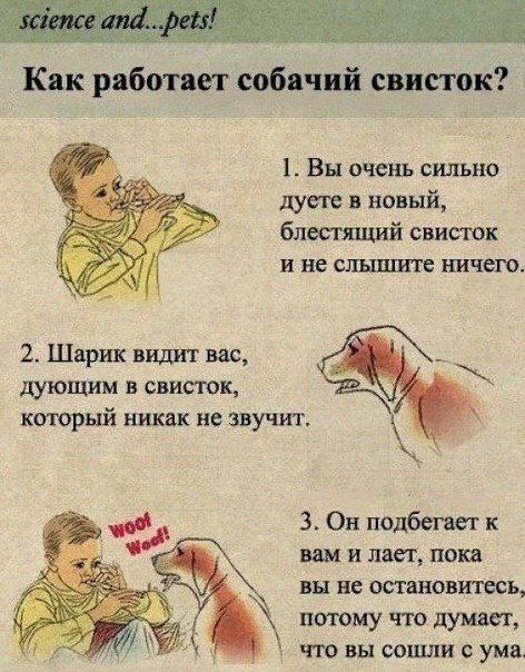 Никакие картинки