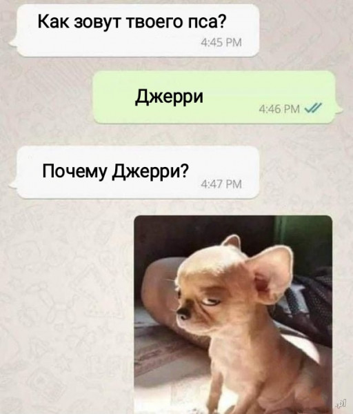 Веселые картинки к понедельнику (05.08)