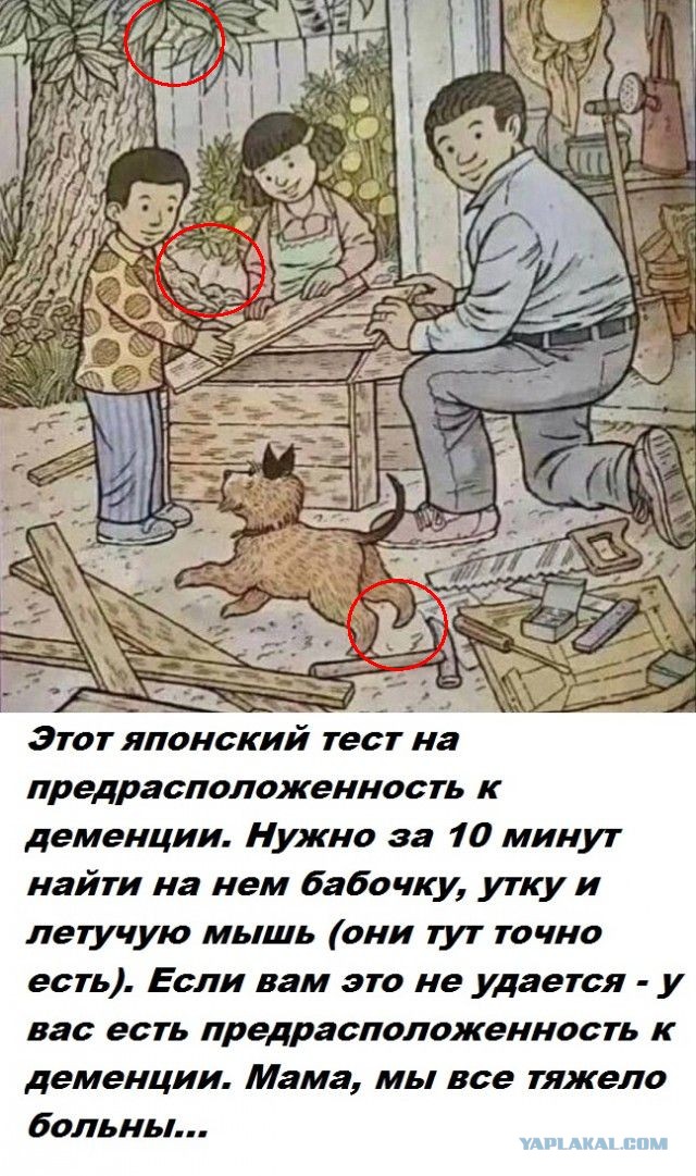 Весёлый полтишок 19.09.24
