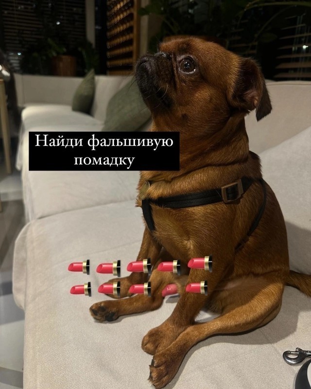 Переписьки - такие переписьки