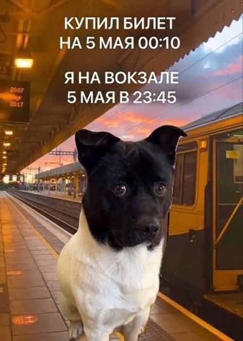 Завалялось тут случайно немного забавных картинок