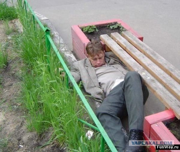 Палкой потыкать?