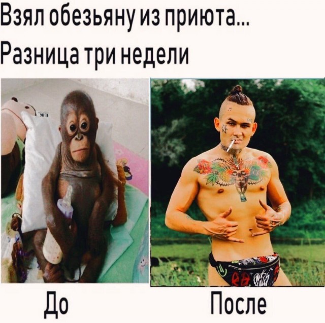 Завалялось тут случайно немного забавных картинок