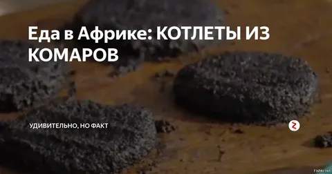 Казнь египетская обрушилась на город в Бурятии — тут адское нашествие комаров