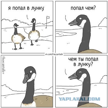 Так себе картинки 18.08.25
