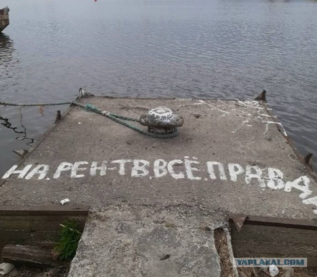 Черные грибы