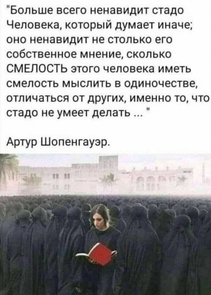 Так себе картинки 14.11.25