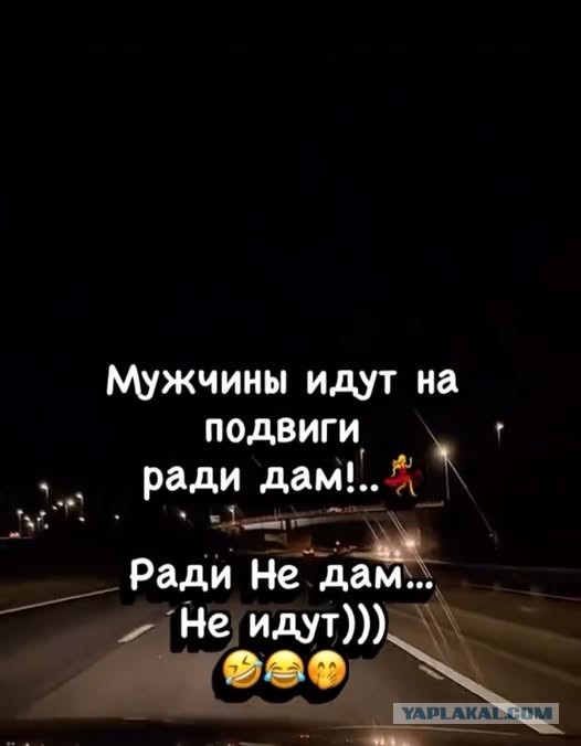 Субботние картинки