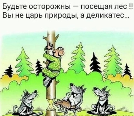 На Камчатке уже неделю ищут пропавшего в глухой тайге охотника