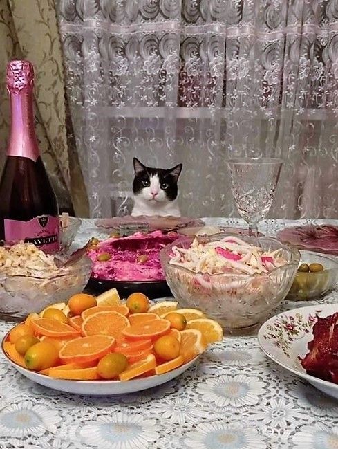 Мемоделов и мемораспространителей Япа с Наступающим!