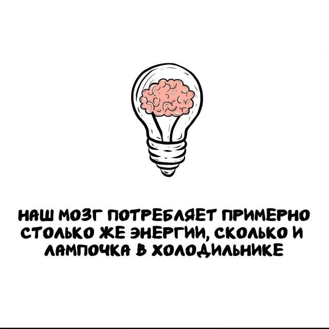 Интересные и короткие факты на все случаи жизни 05.01.26