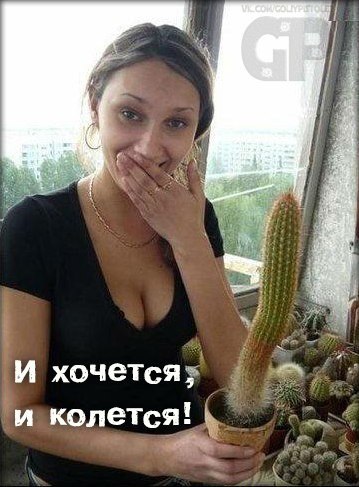 Забавные и не очень скромные картинки - 25