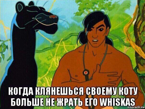 Картинки для деградации 144 (разной степени свежести)