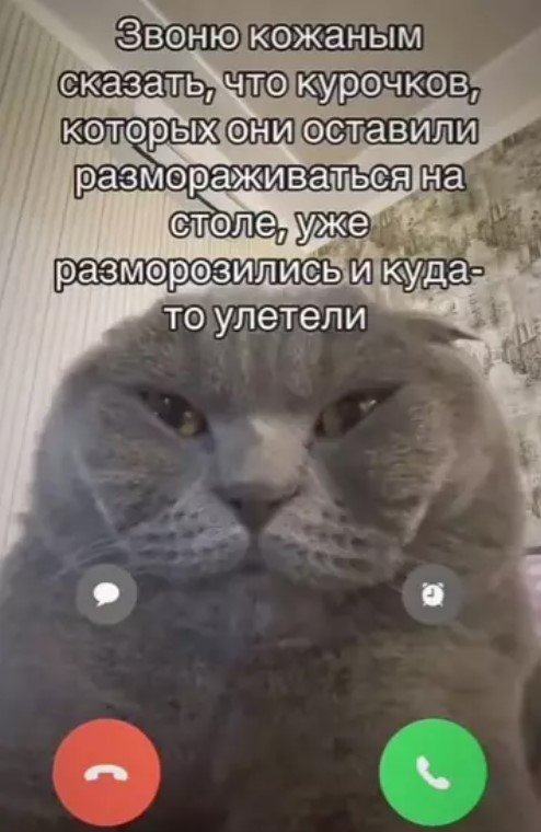 Картиночки, баянчики 14 марта