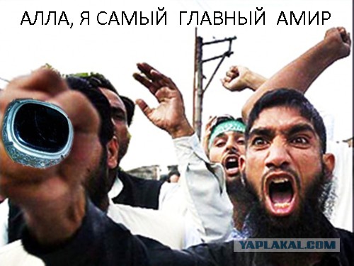 Кольца амиров