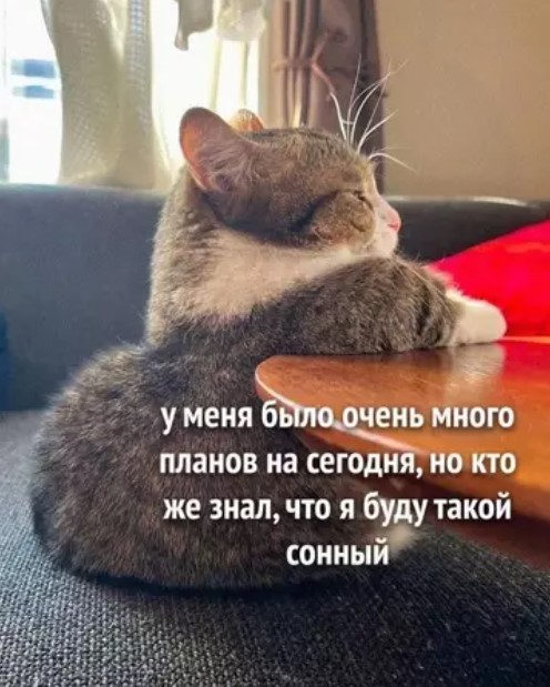 Картиночки, баянчики 01 апреля