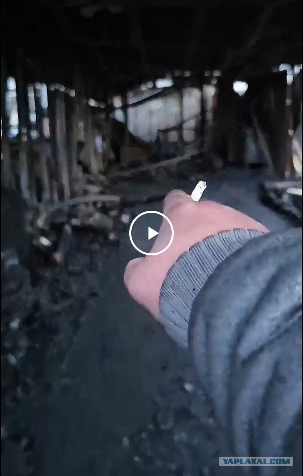 Как горят гибриды из Китая..