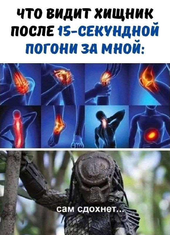 «Хищник» тогда и сейчас