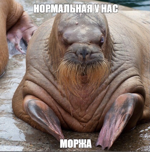 Предложение