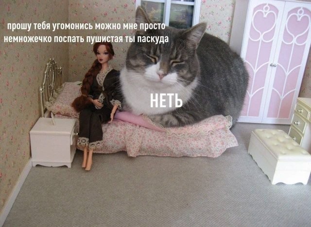 Так себе картинки 12.10.26