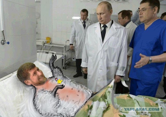 Под одеялом.Фотожаба.
