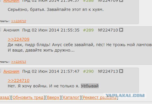 Нечто в соцсети.