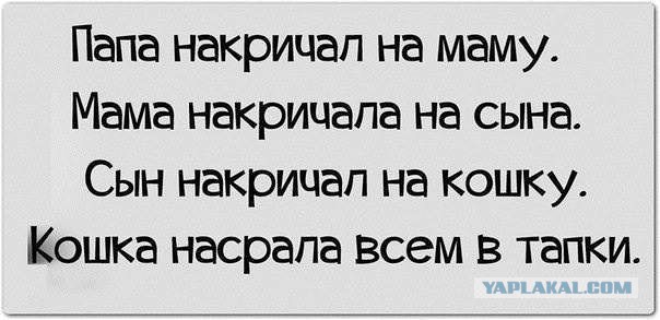 Когда вы плюсуeтe тему в платине