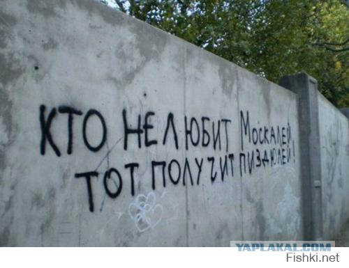 Ляшко vs Шевченко