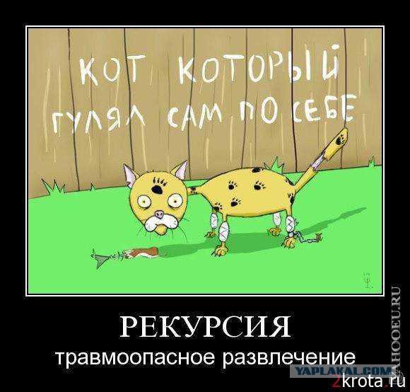 Немного смешных картинок из сети