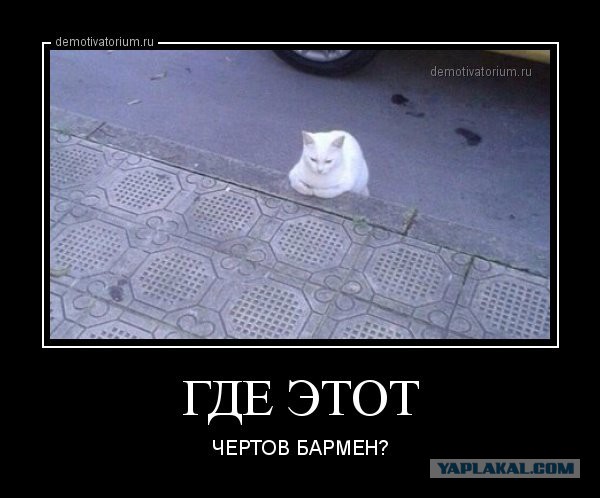 Давно демотиваторов не было