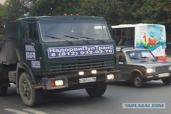 Забавные картинки из Сети