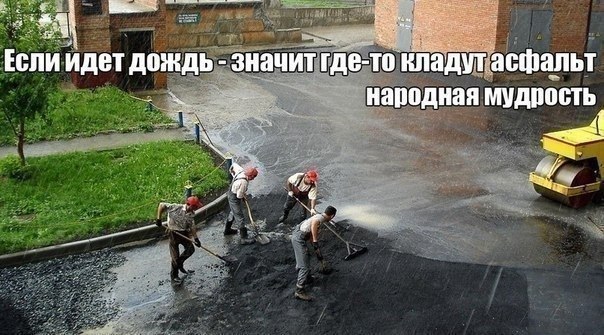 Прикольные картинки из сети