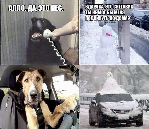 Алло, это снеговик!