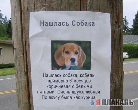 ВЫВЕСКИ, ТАБЛИЧКИ. Смешные и прикольные