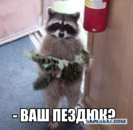 Новая подборка картинок