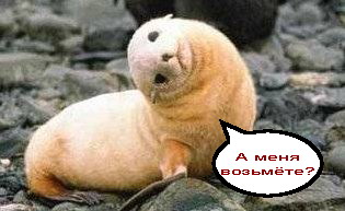 Уже да :) Ужо пятнецца...