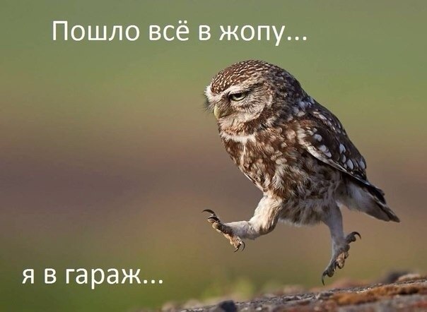 Так, я не понял?! Это что за фигня?!