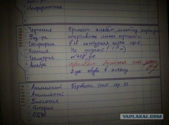 Картинки из сети, бессмысленные и беспощадные