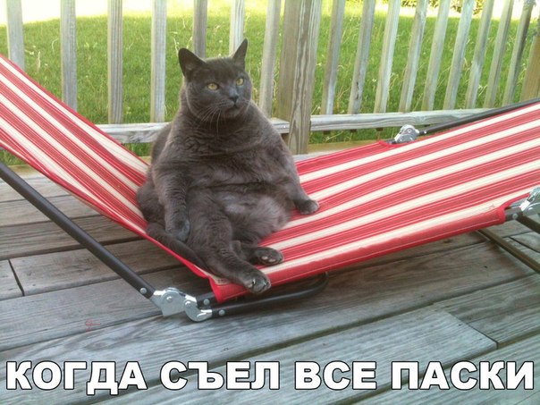 Мохнатые беспредельщики