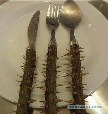 Подборка прикольных фото