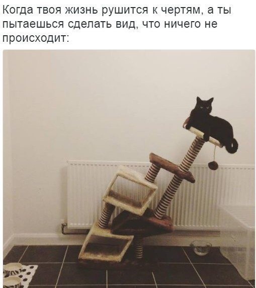 Фотограммы #да ты упоротый штоле? #немншк
