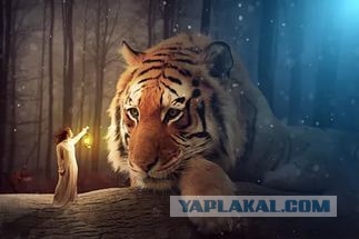 Турция, или один из самых дурацких отдыхов