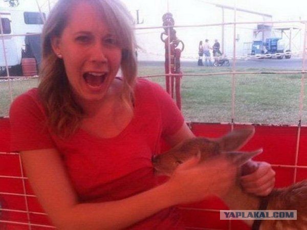 15 фото, сделанных в идеальный момент, на которые больно даже смотреть