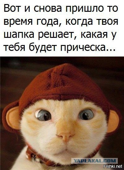В преддверии упоротой пятницы