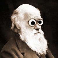 Очередной номинант