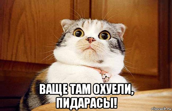 Большая реформа ОСАГО: процесс начался