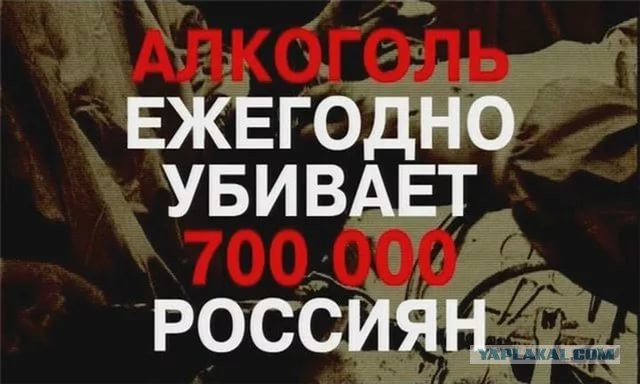 Звезды фильма «Особенности национальной рыбалки» тогда и сейчас